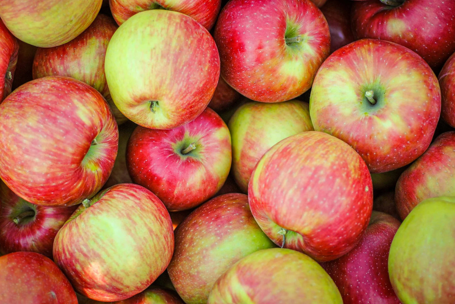 Local Apple Marion Almond Crumble Pie