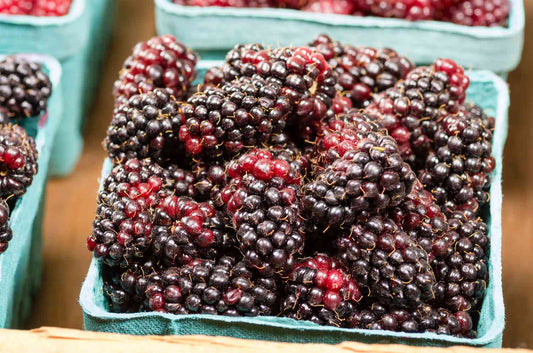 Marion Berry/Blueberry Crumble Pie 6"