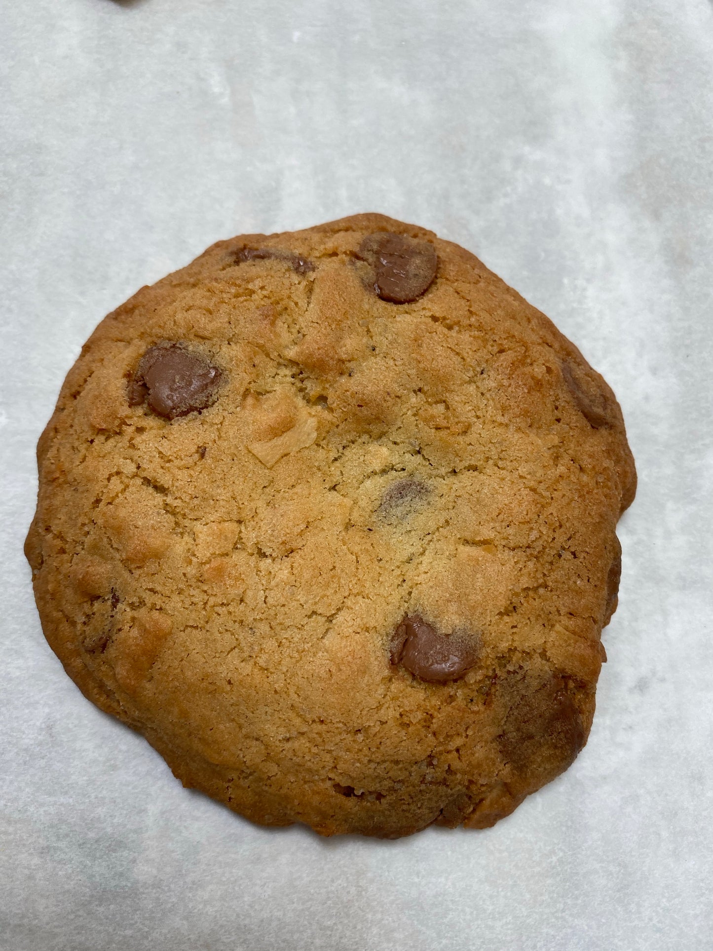 Milk Chocolate Toasted Walnut Coconut Cookie