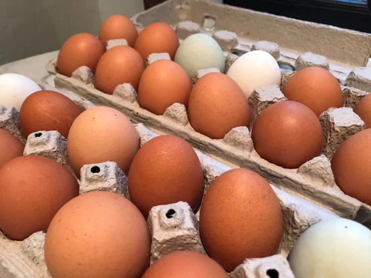 Local Farm Pasture Eggs