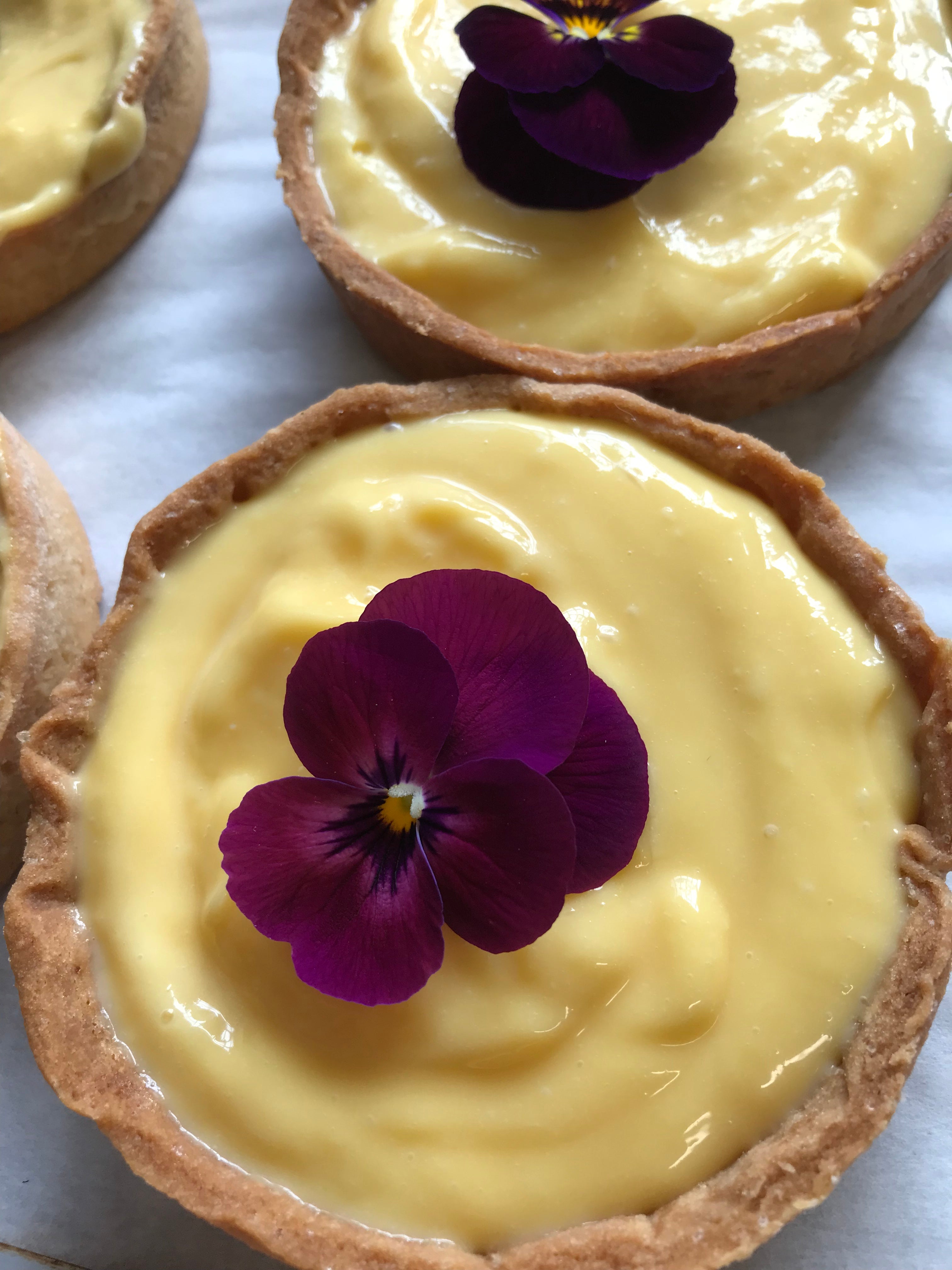 Wild Culture Bakery – WildCultureArtisanBakery